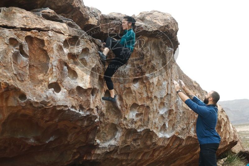 Bouldering in Hueco Tanks on 03/08/2019 with Blue Lizard Climbing and Yoga

Filename: SRM_20190308_1255460.jpg
Aperture: f/3.5
Shutter Speed: 1/400
Body: Canon EOS-1D Mark II
Lens: Canon EF 50mm f/1.8 II