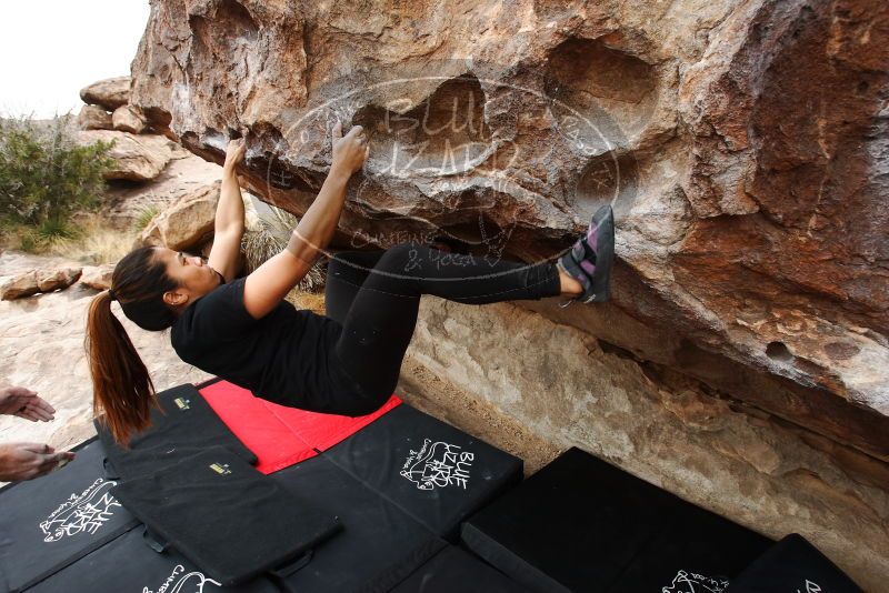 Bouldering in Hueco Tanks on 03/08/2019 with Blue Lizard Climbing and Yoga

Filename: SRM_20190308_1326080.jpg
Aperture: f/5.6
Shutter Speed: 1/250
Body: Canon EOS-1D Mark II
Lens: Canon EF 16-35mm f/2.8 L