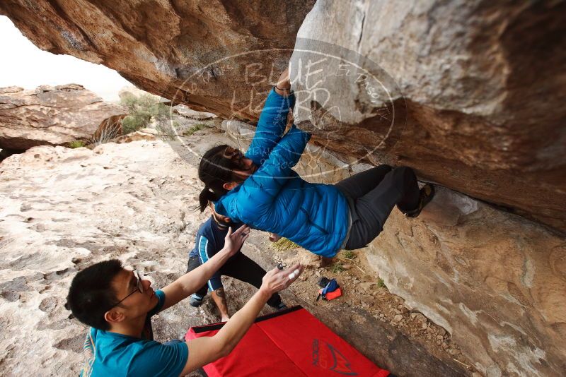 Bouldering in Hueco Tanks on 03/08/2019 with Blue Lizard Climbing and Yoga

Filename: SRM_20190308_1501300.jpg
Aperture: f/5.0
Shutter Speed: 1/200
Body: Canon EOS-1D Mark II
Lens: Canon EF 16-35mm f/2.8 L