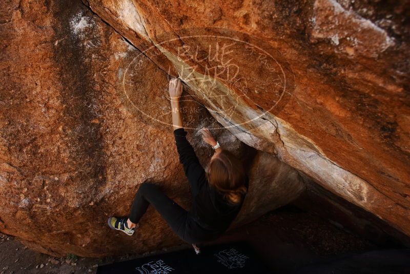 Bouldering in Hueco Tanks on 03/09/2019 with Blue Lizard Climbing and Yoga

Filename: SRM_20190309_1147120.jpg
Aperture: f/5.6
Shutter Speed: 1/60
Body: Canon EOS-1D Mark II
Lens: Canon EF 16-35mm f/2.8 L