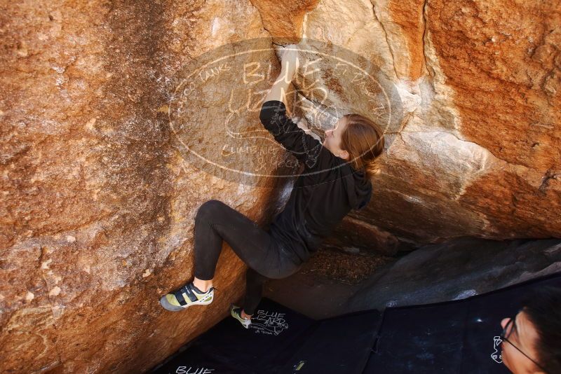 Bouldering in Hueco Tanks on 03/09/2019 with Blue Lizard Climbing and Yoga

Filename: SRM_20190309_1150010.jpg
Aperture: f/5.6
Shutter Speed: 1/125
Body: Canon EOS-1D Mark II
Lens: Canon EF 16-35mm f/2.8 L