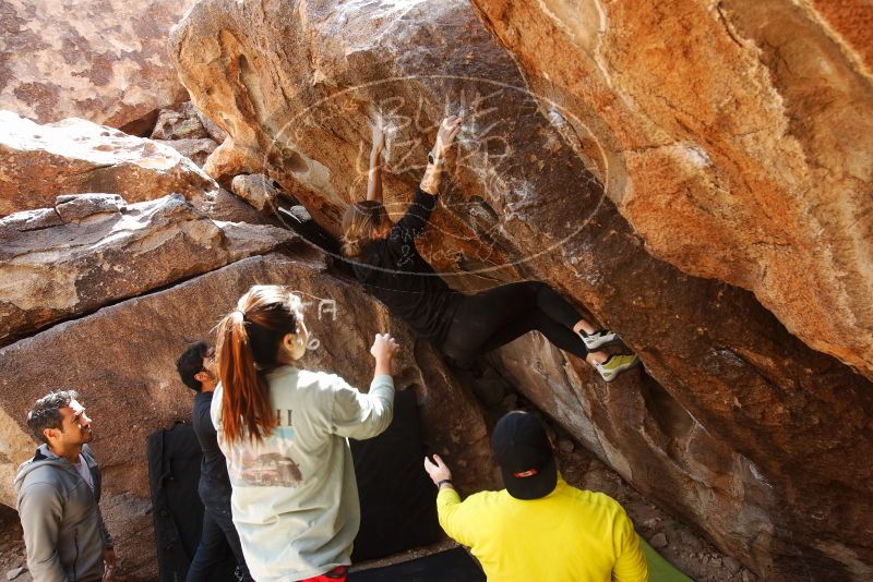 Bouldering in Hueco Tanks on 03/09/2019 with Blue Lizard Climbing and Yoga

Filename: SRM_20190309_1230300.jpg
Aperture: f/5.6
Shutter Speed: 1/200
Body: Canon EOS-1D Mark II
Lens: Canon EF 16-35mm f/2.8 L