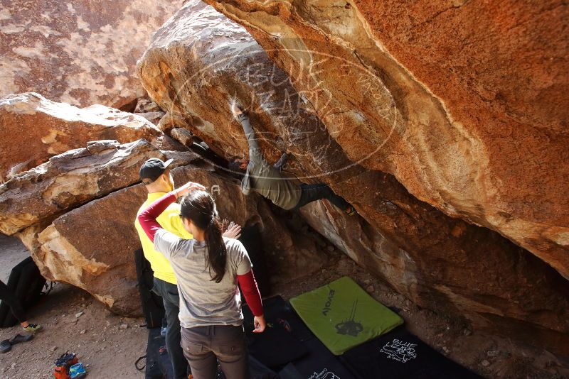 Bouldering in Hueco Tanks on 03/09/2019 with Blue Lizard Climbing and Yoga

Filename: SRM_20190309_1235520.jpg
Aperture: f/5.6
Shutter Speed: 1/320
Body: Canon EOS-1D Mark II
Lens: Canon EF 16-35mm f/2.8 L