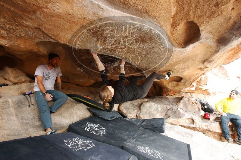 Bouldering in Hueco Tanks on 03/09/2019 with Blue Lizard Climbing and Yoga

Filename: SRM_20190309_1531470.jpg
Aperture: f/5.6
Shutter Speed: 1/250
Body: Canon EOS-1D Mark II
Lens: Canon EF 16-35mm f/2.8 L