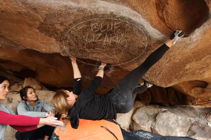 Bouldering in Hueco Tanks on 03/09/2019 with Blue Lizard Climbing and Yoga

Filename: SRM_20190309_1605520.jpg
Aperture: f/5.6
Shutter Speed: 1/160
Body: Canon EOS-1D Mark II
Lens: Canon EF 16-35mm f/2.8 L