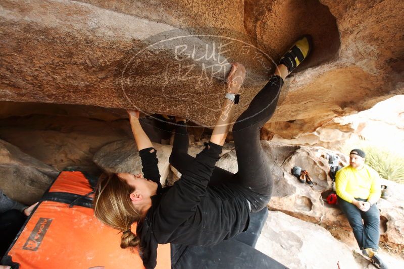 Bouldering in Hueco Tanks on 03/09/2019 with Blue Lizard Climbing and Yoga

Filename: SRM_20190309_1606460.jpg
Aperture: f/5.6
Shutter Speed: 1/160
Body: Canon EOS-1D Mark II
Lens: Canon EF 16-35mm f/2.8 L