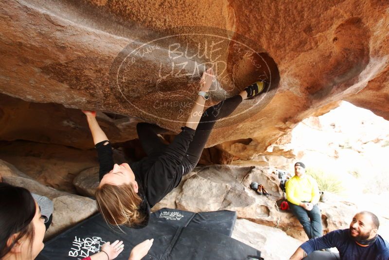 Bouldering in Hueco Tanks on 03/09/2019 with Blue Lizard Climbing and Yoga

Filename: SRM_20190309_1606580.jpg
Aperture: f/5.6
Shutter Speed: 1/160
Body: Canon EOS-1D Mark II
Lens: Canon EF 16-35mm f/2.8 L