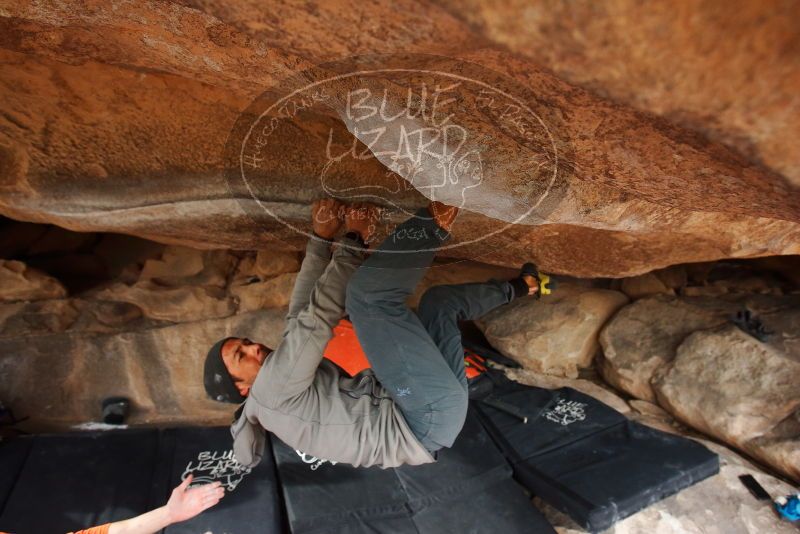 Bouldering in Hueco Tanks on 03/09/2019 with Blue Lizard Climbing and Yoga

Filename: SRM_20190309_1653400.jpg
Aperture: f/5.6
Shutter Speed: 1/200
Body: Canon EOS-1D Mark II
Lens: Canon EF 16-35mm f/2.8 L