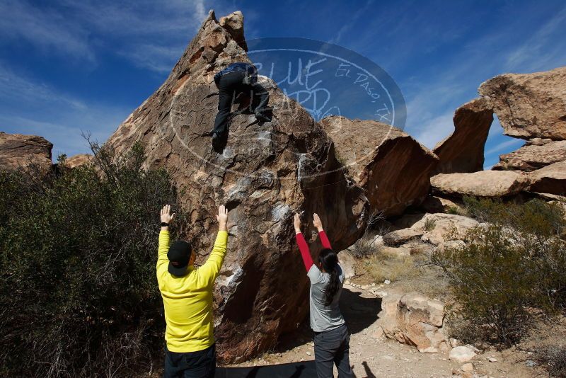 Bouldering in Hueco Tanks on 03/09/2019 with Blue Lizard Climbing and Yoga

Filename: SRM_20190309_1137540.jpg
Aperture: f/5.6
Shutter Speed: 1/6400
Body: Canon EOS-1D Mark II
Lens: Canon EF 16-35mm f/2.8 L