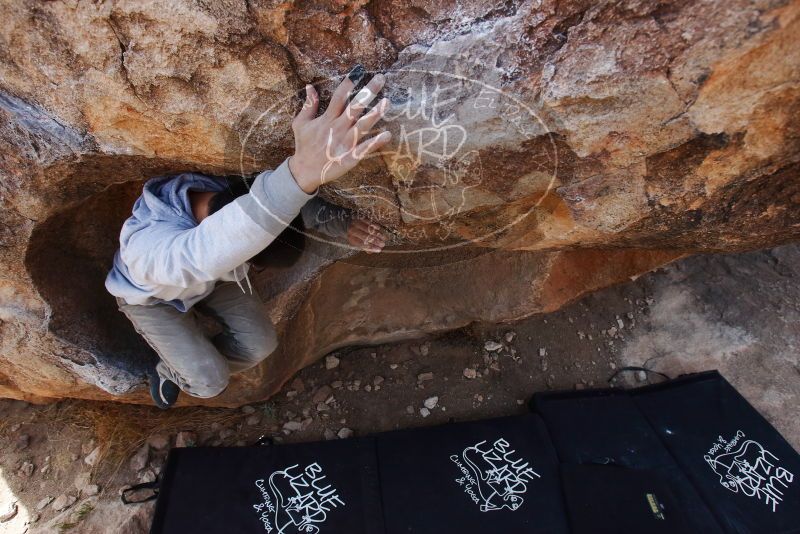 Bouldering in Hueco Tanks on 03/09/2019 with Blue Lizard Climbing and Yoga

Filename: SRM_20190309_1212070.jpg
Aperture: f/5.6
Shutter Speed: 1/400
Body: Canon EOS-1D Mark II
Lens: Canon EF 16-35mm f/2.8 L