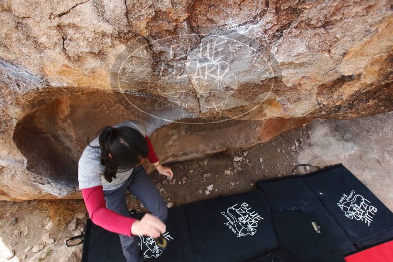 Bouldering in Hueco Tanks on 03/09/2019 with Blue Lizard Climbing and Yoga

Filename: SRM_20190309_1216170.jpg
Aperture: f/5.6
Shutter Speed: 1/320
Body: Canon EOS-1D Mark II
Lens: Canon EF 16-35mm f/2.8 L