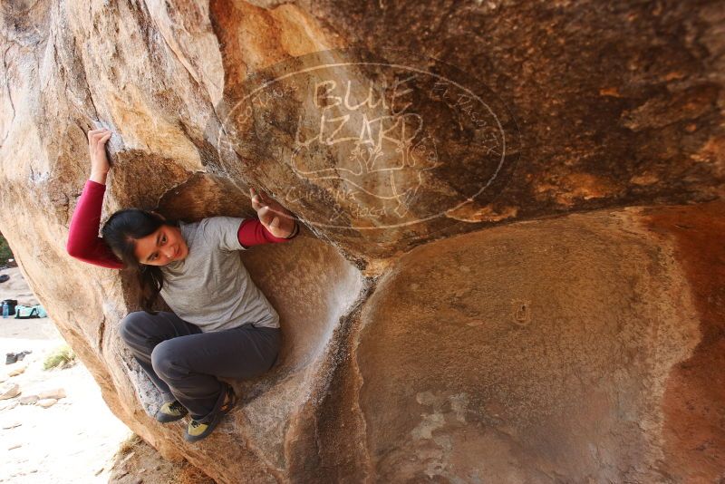 Bouldering in Hueco Tanks on 03/09/2019 with Blue Lizard Climbing and Yoga

Filename: SRM_20190309_1219410.jpg
Aperture: f/5.6
Shutter Speed: 1/320
Body: Canon EOS-1D Mark II
Lens: Canon EF 16-35mm f/2.8 L