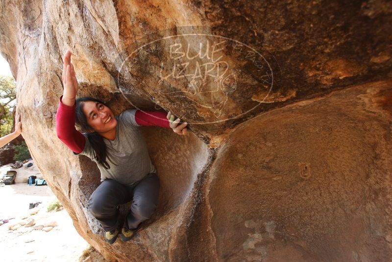 Bouldering in Hueco Tanks on 03/09/2019 with Blue Lizard Climbing and Yoga

Filename: SRM_20190309_1220220.jpg
Aperture: f/5.6
Shutter Speed: 1/320
Body: Canon EOS-1D Mark II
Lens: Canon EF 16-35mm f/2.8 L