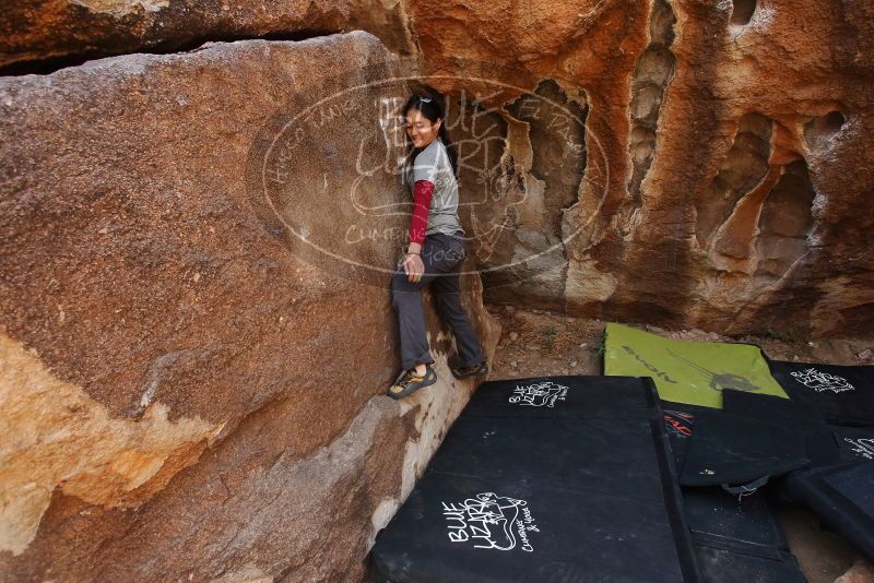 Bouldering in Hueco Tanks on 03/09/2019 with Blue Lizard Climbing and Yoga

Filename: SRM_20190309_1302390.jpg
Aperture: f/5.6
Shutter Speed: 1/320
Body: Canon EOS-1D Mark II
Lens: Canon EF 16-35mm f/2.8 L