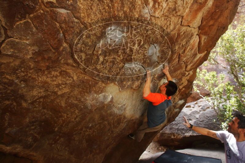 Bouldering in Hueco Tanks on 03/09/2019 with Blue Lizard Climbing and Yoga

Filename: SRM_20190309_1337300.jpg
Aperture: f/5.6
Shutter Speed: 1/200
Body: Canon EOS-1D Mark II
Lens: Canon EF 16-35mm f/2.8 L