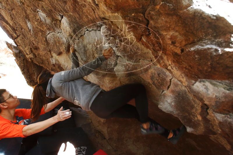 Bouldering in Hueco Tanks on 03/09/2019 with Blue Lizard Climbing and Yoga

Filename: SRM_20190309_1343111.jpg
Aperture: f/5.6
Shutter Speed: 1/160
Body: Canon EOS-1D Mark II
Lens: Canon EF 16-35mm f/2.8 L