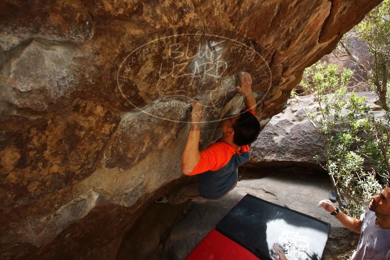 Bouldering in Hueco Tanks on 03/09/2019 with Blue Lizard Climbing and Yoga

Filename: SRM_20190309_1344050.jpg
Aperture: f/5.6
Shutter Speed: 1/250
Body: Canon EOS-1D Mark II
Lens: Canon EF 16-35mm f/2.8 L