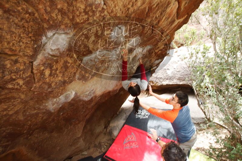 Bouldering in Hueco Tanks on 03/09/2019 with Blue Lizard Climbing and Yoga

Filename: SRM_20190309_1418330.jpg
Aperture: f/5.6
Shutter Speed: 1/200
Body: Canon EOS-1D Mark II
Lens: Canon EF 16-35mm f/2.8 L