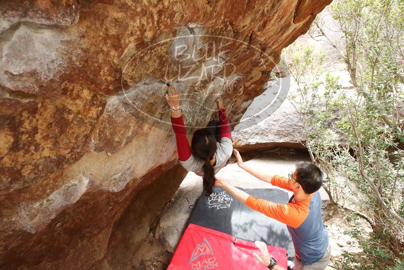 Bouldering in Hueco Tanks on 03/09/2019 with Blue Lizard Climbing and Yoga

Filename: SRM_20190309_1418350.jpg
Aperture: f/5.6
Shutter Speed: 1/160
Body: Canon EOS-1D Mark II
Lens: Canon EF 16-35mm f/2.8 L