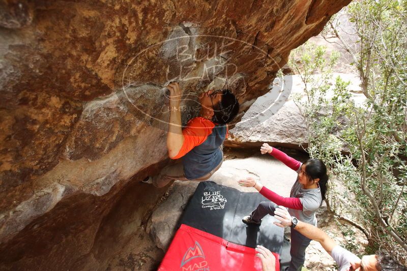 Bouldering in Hueco Tanks on 03/09/2019 with Blue Lizard Climbing and Yoga

Filename: SRM_20190309_1420050.jpg
Aperture: f/4.5
Shutter Speed: 1/320
Body: Canon EOS-1D Mark II
Lens: Canon EF 16-35mm f/2.8 L