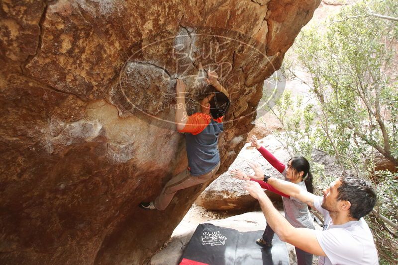 Bouldering in Hueco Tanks on 03/09/2019 with Blue Lizard Climbing and Yoga

Filename: SRM_20190309_1420480.jpg
Aperture: f/4.5
Shutter Speed: 1/250
Body: Canon EOS-1D Mark II
Lens: Canon EF 16-35mm f/2.8 L