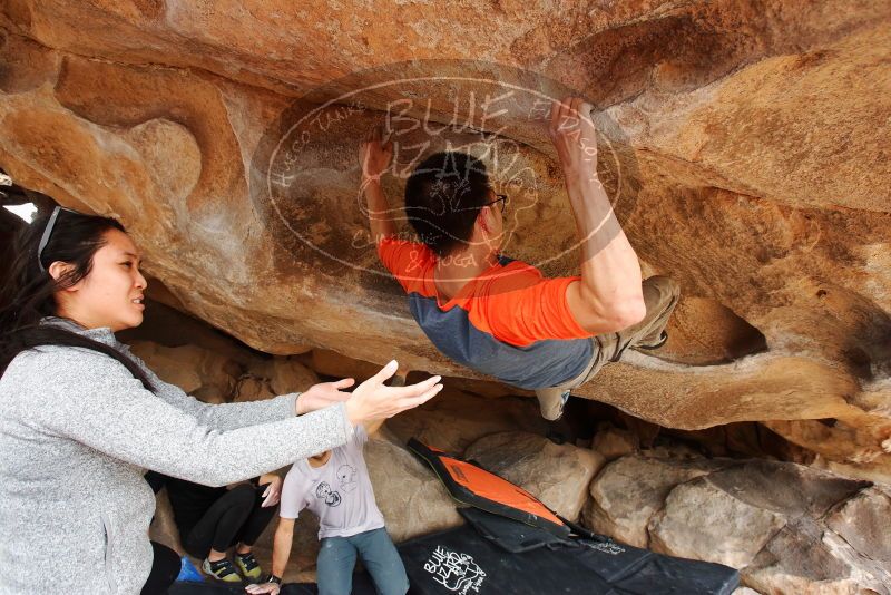 Bouldering in Hueco Tanks on 03/09/2019 with Blue Lizard Climbing and Yoga

Filename: SRM_20190309_1533130.jpg
Aperture: f/5.6
Shutter Speed: 1/250
Body: Canon EOS-1D Mark II
Lens: Canon EF 16-35mm f/2.8 L