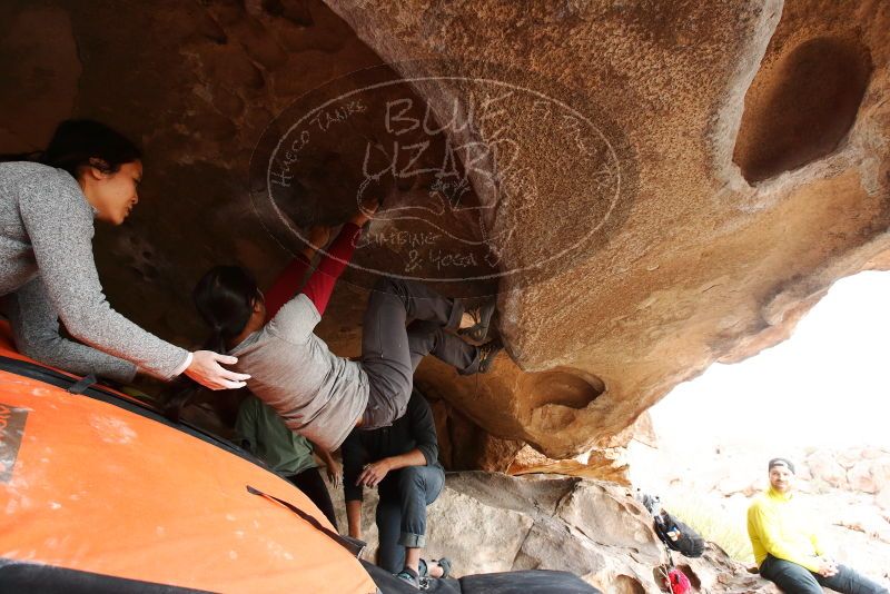 Bouldering in Hueco Tanks on 03/09/2019 with Blue Lizard Climbing and Yoga

Filename: SRM_20190309_1544570.jpg
Aperture: f/5.6
Shutter Speed: 1/250
Body: Canon EOS-1D Mark II
Lens: Canon EF 16-35mm f/2.8 L