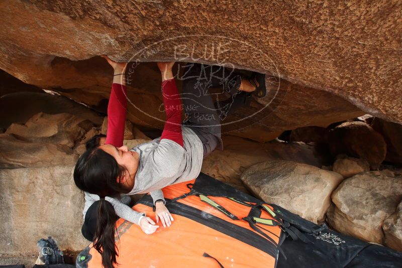 Bouldering in Hueco Tanks on 03/09/2019 with Blue Lizard Climbing and Yoga

Filename: SRM_20190309_1611080.jpg
Aperture: f/5.6
Shutter Speed: 1/160
Body: Canon EOS-1D Mark II
Lens: Canon EF 16-35mm f/2.8 L