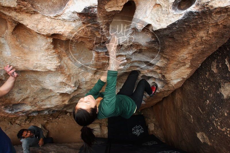 Bouldering in Hueco Tanks on 03/10/2019 with Blue Lizard Climbing and Yoga

Filename: SRM_20190310_1003500.jpg
Aperture: f/6.3
Shutter Speed: 1/250
Body: Canon EOS-1D Mark II
Lens: Canon EF 16-35mm f/2.8 L