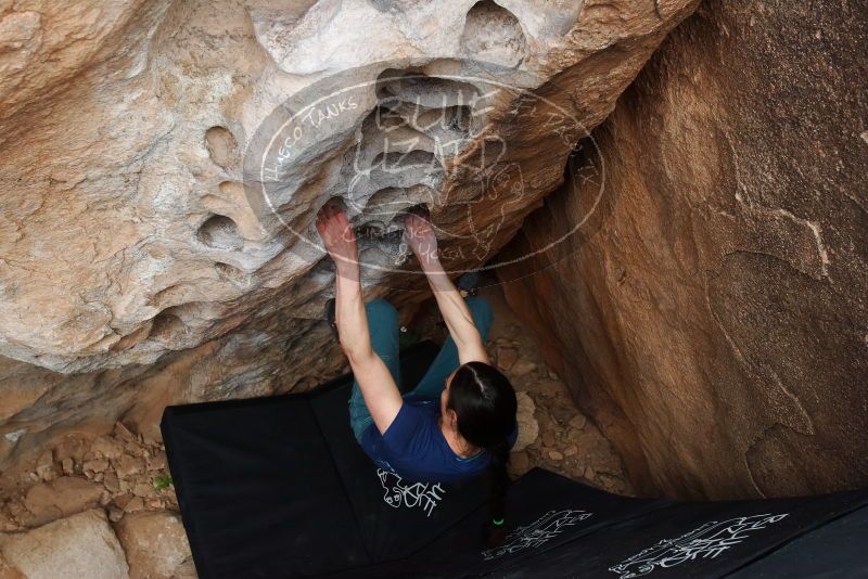 Bouldering in Hueco Tanks on 03/10/2019 with Blue Lizard Climbing and Yoga

Filename: SRM_20190310_1004350.jpg
Aperture: f/5.6
Shutter Speed: 1/250
Body: Canon EOS-1D Mark II
Lens: Canon EF 16-35mm f/2.8 L