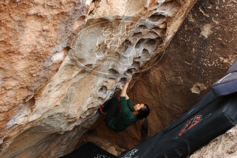 Bouldering in Hueco Tanks on 03/10/2019 with Blue Lizard Climbing and Yoga

Filename: SRM_20190310_1015420.jpg
Aperture: f/5.6
Shutter Speed: 1/250
Body: Canon EOS-1D Mark II
Lens: Canon EF 16-35mm f/2.8 L