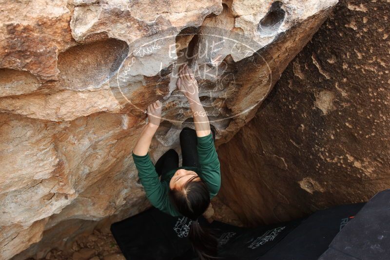 Bouldering in Hueco Tanks on 03/10/2019 with Blue Lizard Climbing and Yoga

Filename: SRM_20190310_1016030.jpg
Aperture: f/5.6
Shutter Speed: 1/250
Body: Canon EOS-1D Mark II
Lens: Canon EF 16-35mm f/2.8 L