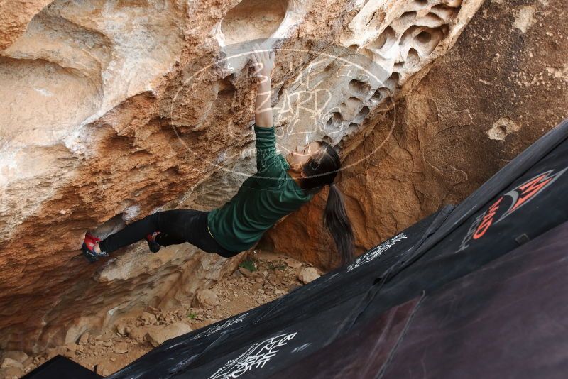 Bouldering in Hueco Tanks on 03/10/2019 with Blue Lizard Climbing and Yoga

Filename: SRM_20190310_1027090.jpg
Aperture: f/5.6
Shutter Speed: 1/160
Body: Canon EOS-1D Mark II
Lens: Canon EF 16-35mm f/2.8 L