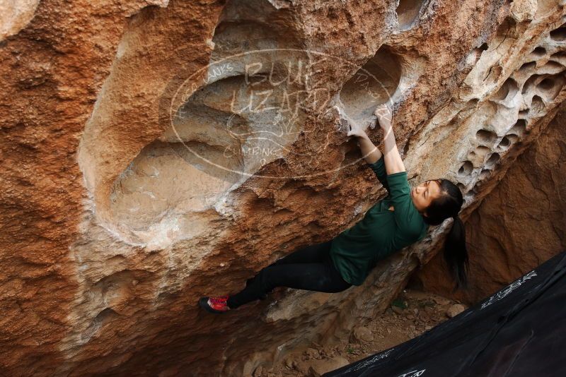 Bouldering in Hueco Tanks on 03/10/2019 with Blue Lizard Climbing and Yoga

Filename: SRM_20190310_1027130.jpg
Aperture: f/5.6
Shutter Speed: 1/320
Body: Canon EOS-1D Mark II
Lens: Canon EF 16-35mm f/2.8 L