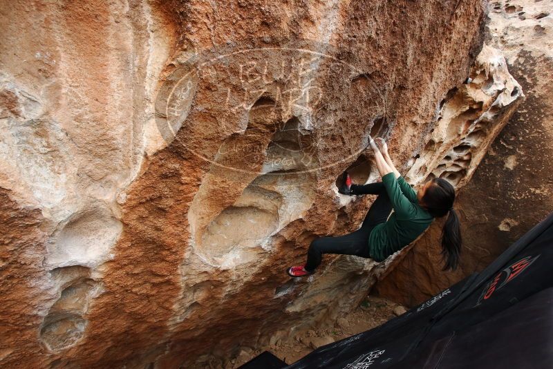 Bouldering in Hueco Tanks on 03/10/2019 with Blue Lizard Climbing and Yoga

Filename: SRM_20190310_1027240.jpg
Aperture: f/5.6
Shutter Speed: 1/250
Body: Canon EOS-1D Mark II
Lens: Canon EF 16-35mm f/2.8 L