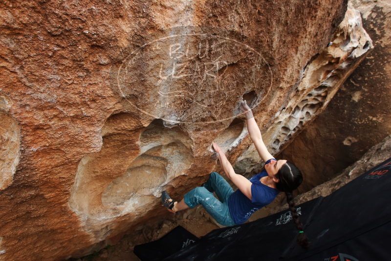 Bouldering in Hueco Tanks on 03/10/2019 with Blue Lizard Climbing and Yoga

Filename: SRM_20190310_1029290.jpg
Aperture: f/5.6
Shutter Speed: 1/250
Body: Canon EOS-1D Mark II
Lens: Canon EF 16-35mm f/2.8 L