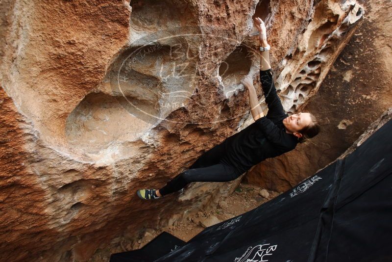 Bouldering in Hueco Tanks on 03/10/2019 with Blue Lizard Climbing and Yoga

Filename: SRM_20190310_1031460.jpg
Aperture: f/5.6
Shutter Speed: 1/320
Body: Canon EOS-1D Mark II
Lens: Canon EF 16-35mm f/2.8 L