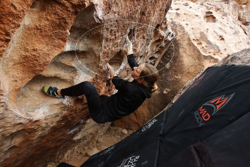 Bouldering in Hueco Tanks on 03/10/2019 with Blue Lizard Climbing and Yoga

Filename: SRM_20190310_1031550.jpg
Aperture: f/5.6
Shutter Speed: 1/320
Body: Canon EOS-1D Mark II
Lens: Canon EF 16-35mm f/2.8 L