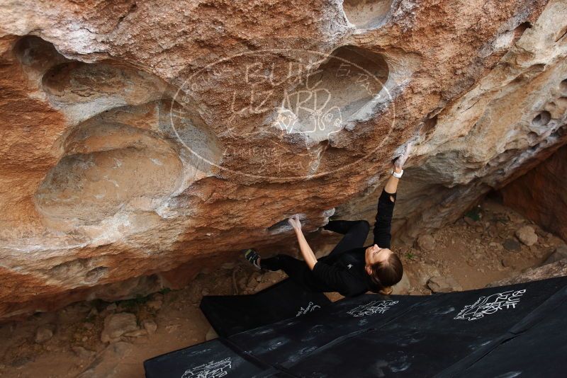 Bouldering in Hueco Tanks on 03/10/2019 with Blue Lizard Climbing and Yoga

Filename: SRM_20190310_1034220.jpg
Aperture: f/5.6
Shutter Speed: 1/320
Body: Canon EOS-1D Mark II
Lens: Canon EF 16-35mm f/2.8 L