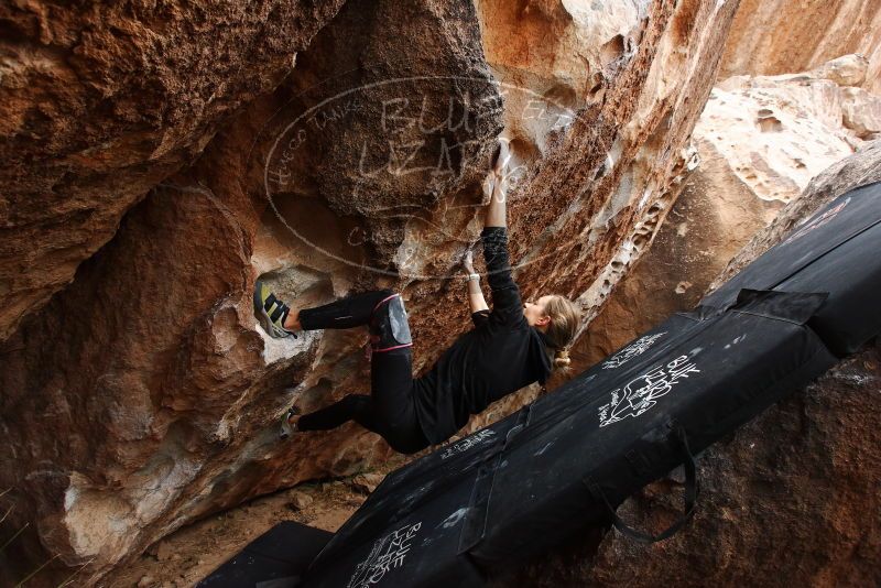 Bouldering in Hueco Tanks on 03/10/2019 with Blue Lizard Climbing and Yoga

Filename: SRM_20190310_1049580.jpg
Aperture: f/5.6
Shutter Speed: 1/250
Body: Canon EOS-1D Mark II
Lens: Canon EF 16-35mm f/2.8 L