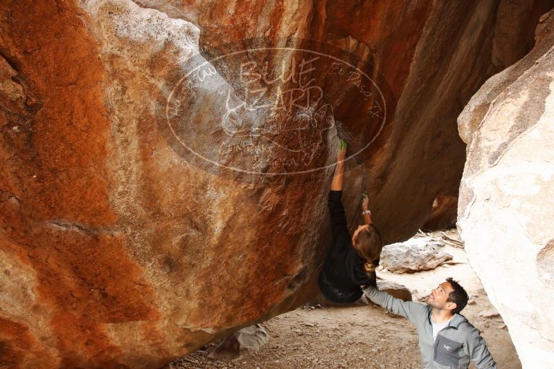 Bouldering in Hueco Tanks on 03/10/2019 with Blue Lizard Climbing and Yoga

Filename: SRM_20190310_1116270.jpg
Aperture: f/5.6
Shutter Speed: 1/60
Body: Canon EOS-1D Mark II
Lens: Canon EF 16-35mm f/2.8 L