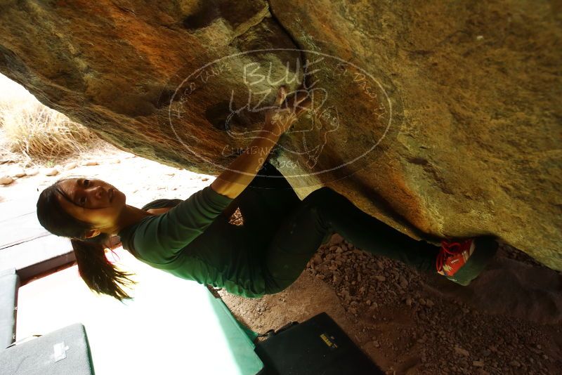 Bouldering in Hueco Tanks on 03/10/2019 with Blue Lizard Climbing and Yoga

Filename: SRM_20190310_1131410.jpg
Aperture: f/5.6
Shutter Speed: 1/250
Body: Canon EOS-1D Mark II
Lens: Canon EF 16-35mm f/2.8 L