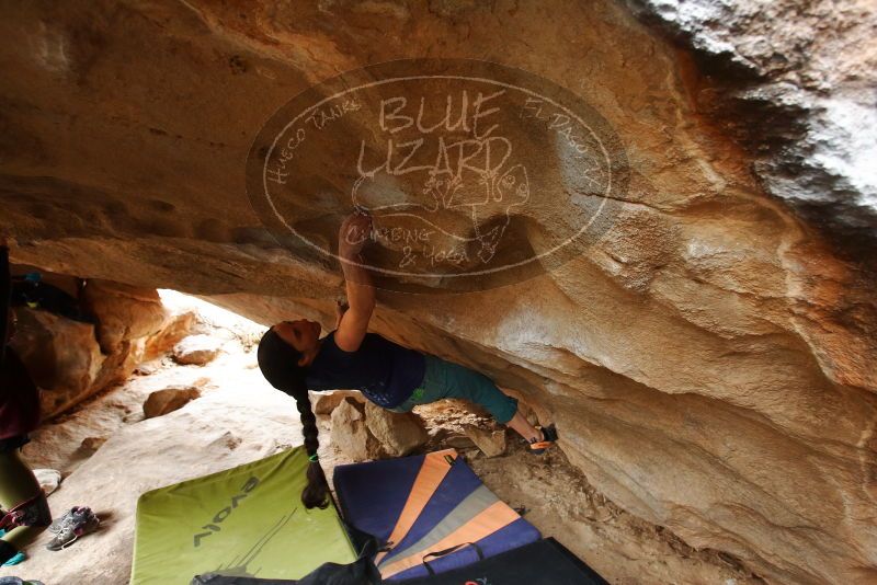 Bouldering in Hueco Tanks on 03/10/2019 with Blue Lizard Climbing and Yoga

Filename: SRM_20190310_1205500.jpg
Aperture: f/4.0
Shutter Speed: 1/200
Body: Canon EOS-1D Mark II
Lens: Canon EF 16-35mm f/2.8 L