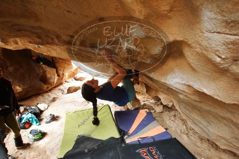 Bouldering in Hueco Tanks on 03/10/2019 with Blue Lizard Climbing and Yoga

Filename: SRM_20190310_1205590.jpg
Aperture: f/4.0
Shutter Speed: 1/160
Body: Canon EOS-1D Mark II
Lens: Canon EF 16-35mm f/2.8 L