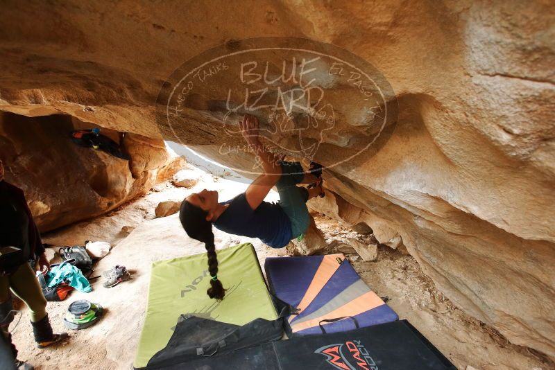 Bouldering in Hueco Tanks on 03/10/2019 with Blue Lizard Climbing and Yoga

Filename: SRM_20190310_1205591.jpg
Aperture: f/4.0
Shutter Speed: 1/160
Body: Canon EOS-1D Mark II
Lens: Canon EF 16-35mm f/2.8 L