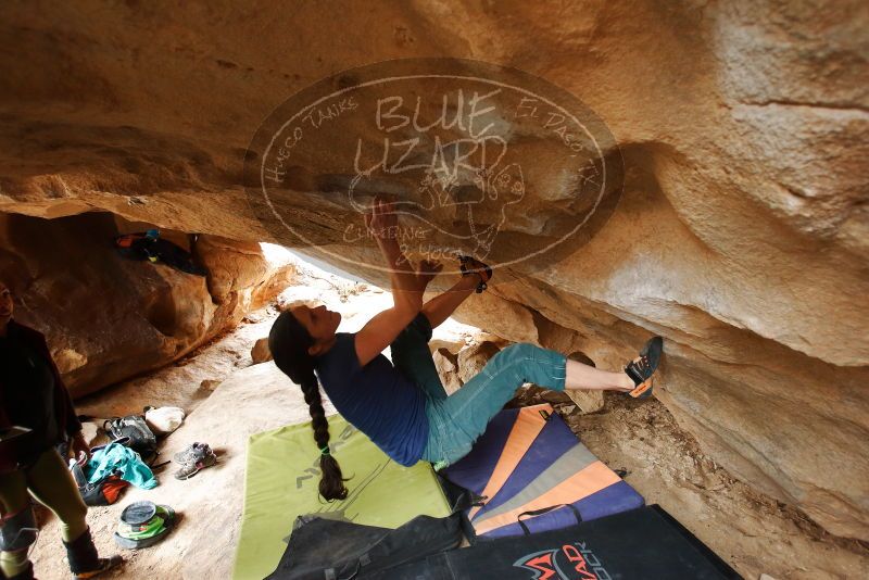 Bouldering in Hueco Tanks on 03/10/2019 with Blue Lizard Climbing and Yoga

Filename: SRM_20190310_1206040.jpg
Aperture: f/4.0
Shutter Speed: 1/160
Body: Canon EOS-1D Mark II
Lens: Canon EF 16-35mm f/2.8 L