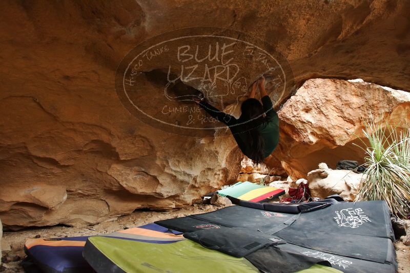 Bouldering in Hueco Tanks on 03/10/2019 with Blue Lizard Climbing and Yoga

Filename: SRM_20190310_1218080.jpg
Aperture: f/4.0
Shutter Speed: 1/160
Body: Canon EOS-1D Mark II
Lens: Canon EF 16-35mm f/2.8 L