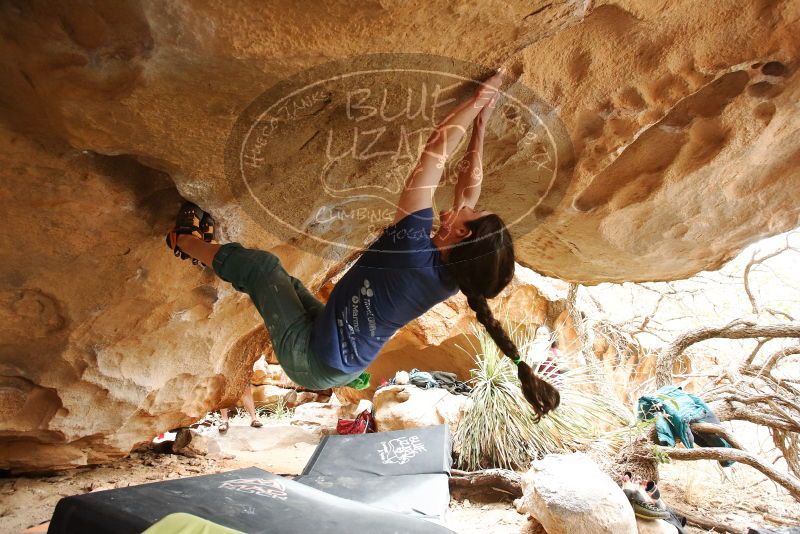 Bouldering in Hueco Tanks on 03/10/2019 with Blue Lizard Climbing and Yoga

Filename: SRM_20190310_1251190.jpg
Aperture: f/4.0
Shutter Speed: 1/200
Body: Canon EOS-1D Mark II
Lens: Canon EF 16-35mm f/2.8 L