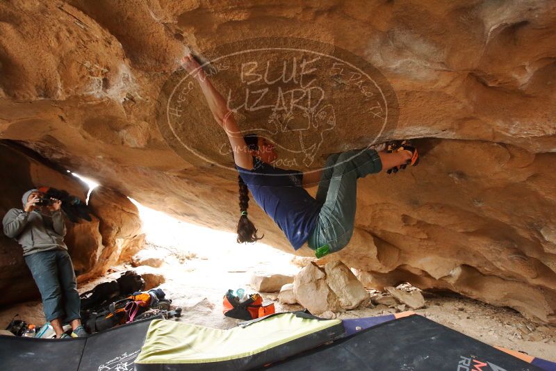 Bouldering in Hueco Tanks on 03/10/2019 with Blue Lizard Climbing and Yoga

Filename: SRM_20190310_1255250.jpg
Aperture: f/4.0
Shutter Speed: 1/160
Body: Canon EOS-1D Mark II
Lens: Canon EF 16-35mm f/2.8 L