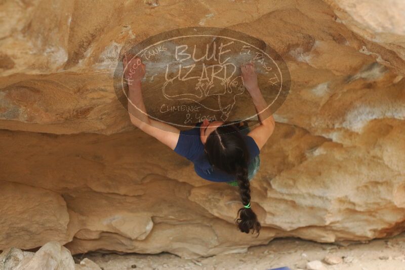 Bouldering in Hueco Tanks on 03/10/2019 with Blue Lizard Climbing and Yoga

Filename: SRM_20190310_1440090.jpg
Aperture: f/2.8
Shutter Speed: 1/200
Body: Canon EOS-1D Mark II
Lens: Canon EF 50mm f/1.8 II